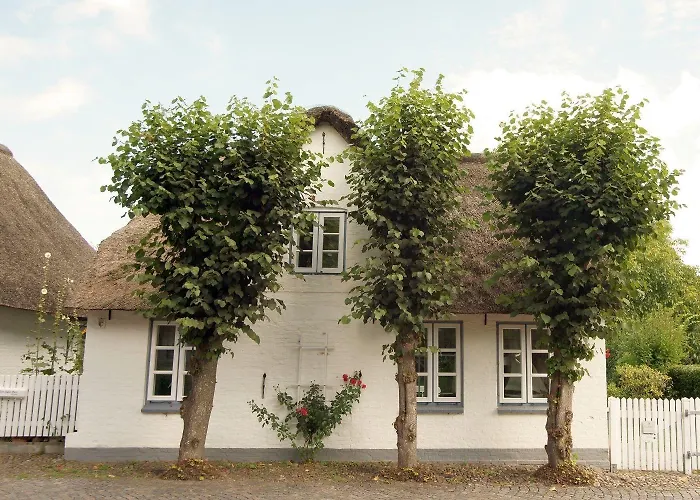 Witje Hues Vakantiehuis *