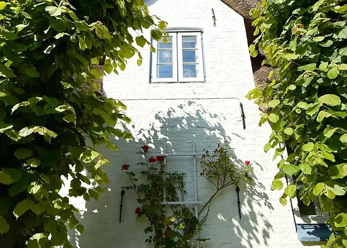 Witje Hues Vakantiehuis